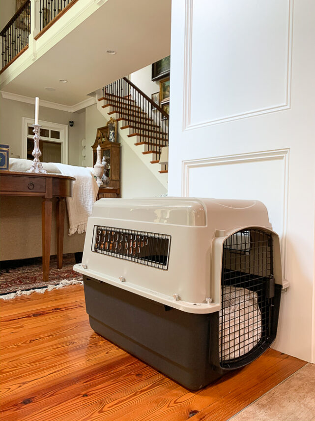 dog kennel