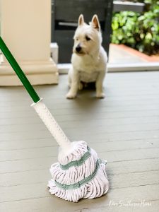 dog and mop