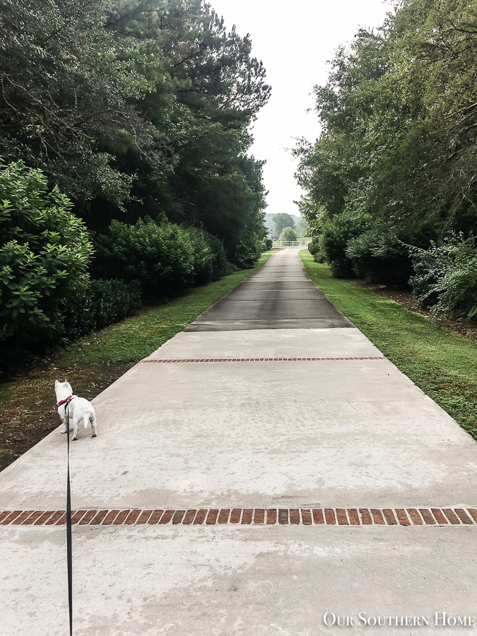 concrete driveway