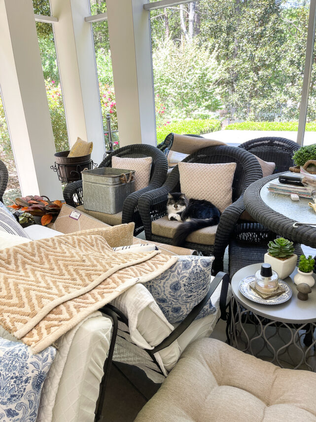 painting screen porch white