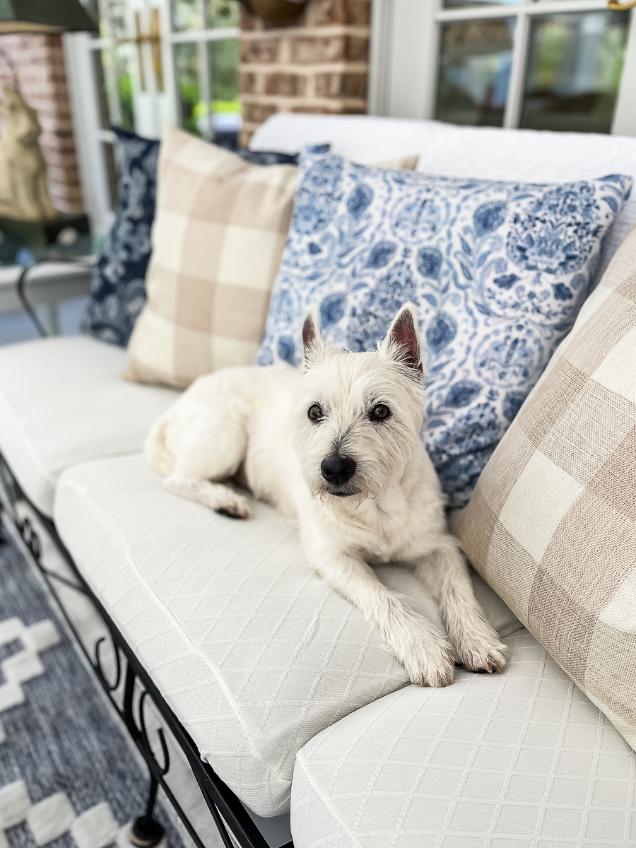 white couch with dog on porch