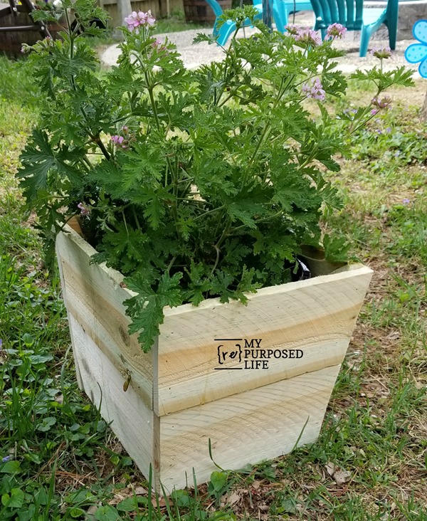 Image for Plastic Flower Pot Cover | Under $20