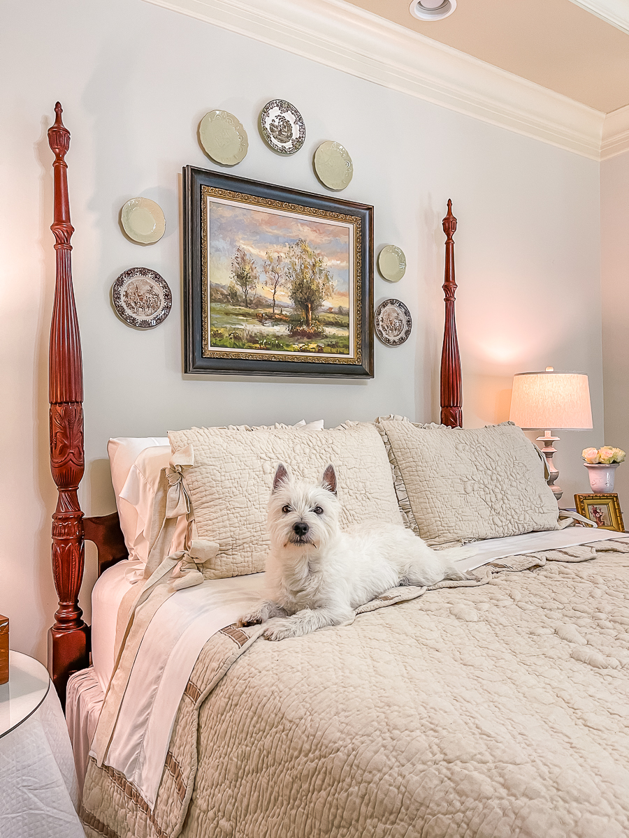 dog on the bed