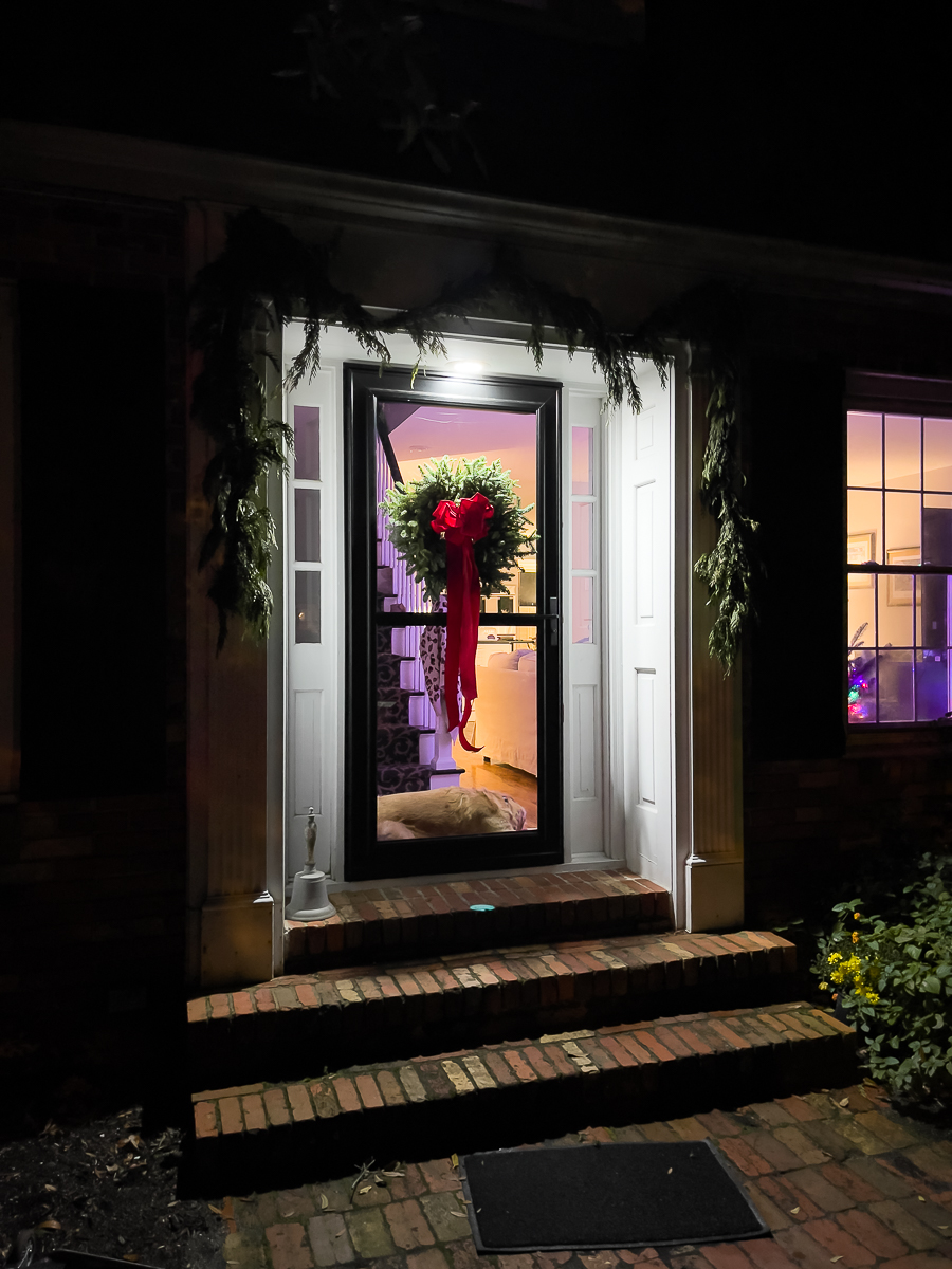 dog in doorway