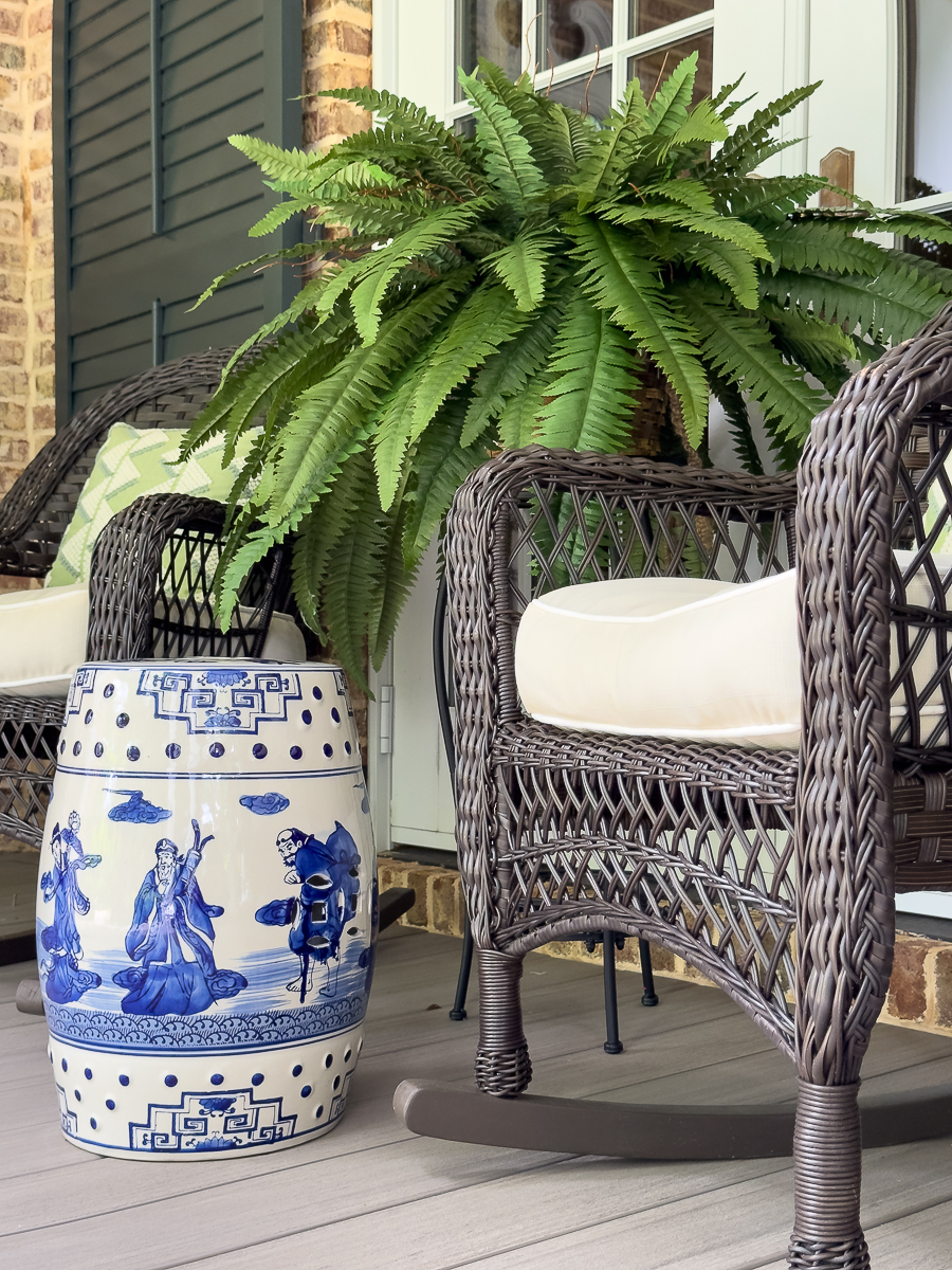 plants stand and fern
