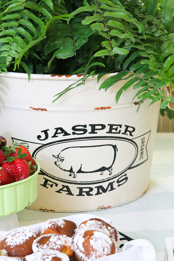 Trisha Yearwood Home Collection at Tractor Supply is affordable and oozing with vintage, farmhouse charm! Let's host a Simple Spring Party! #ad #TrishaAtTSC #tractorSupply #farmhouse #vintage