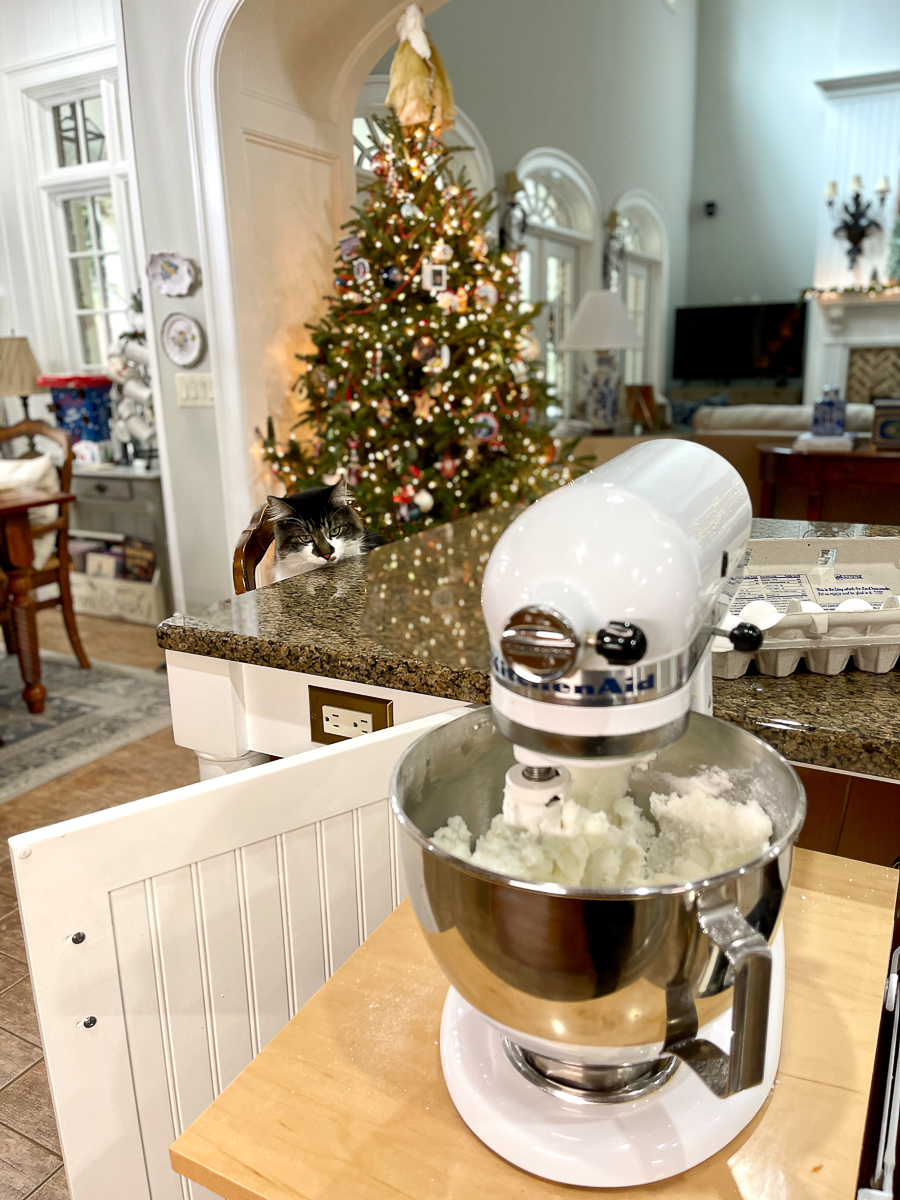 mixer with a cat watching
