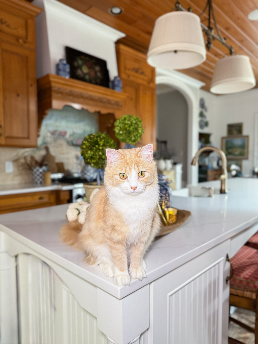 Valentine’s Day kitchen island decor with gold heart hands sculpture, blue and white ginger jar, and boxwood topiaries.