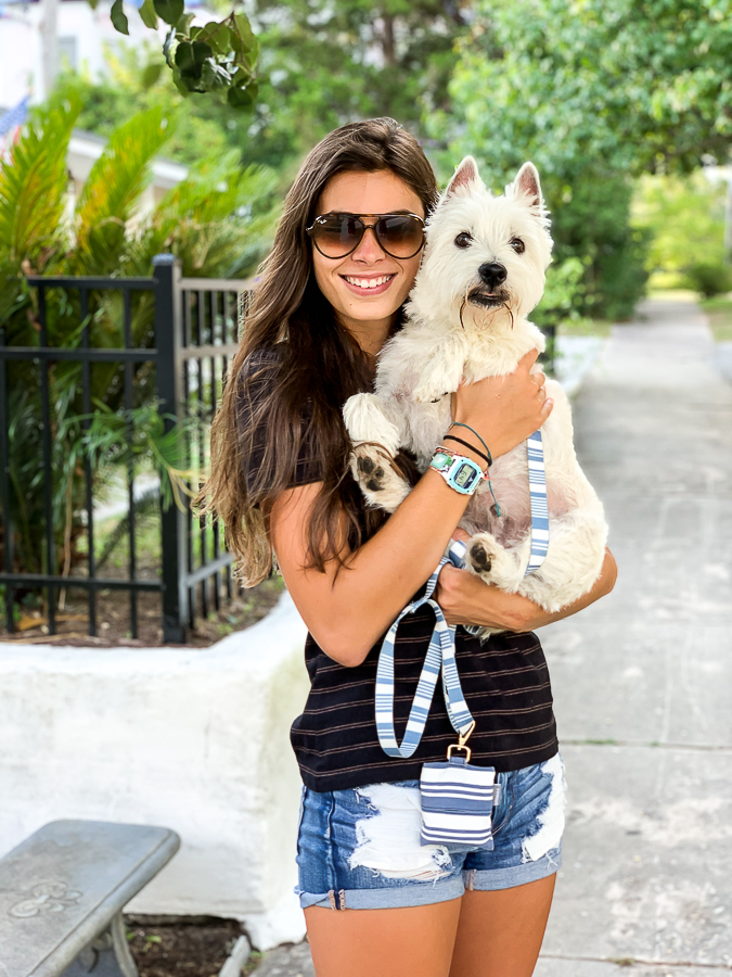 girl with a Westie dog