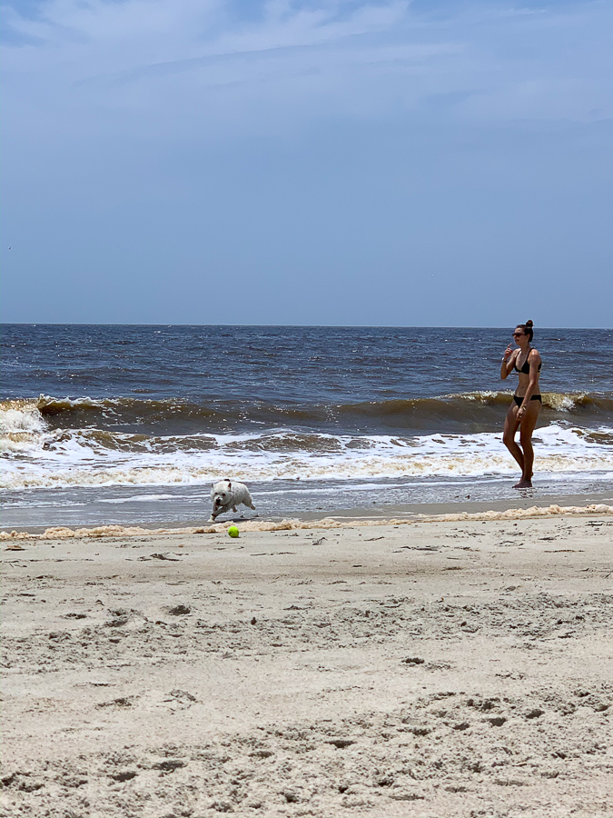 dog on the beach with a girl