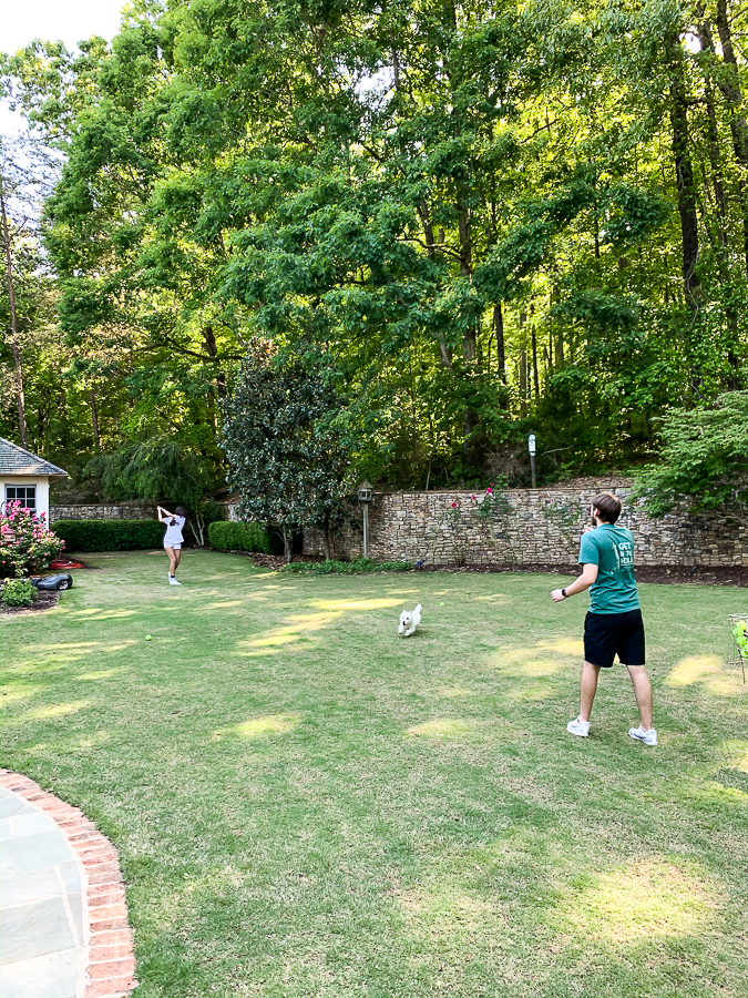 kids playing ball with a dog