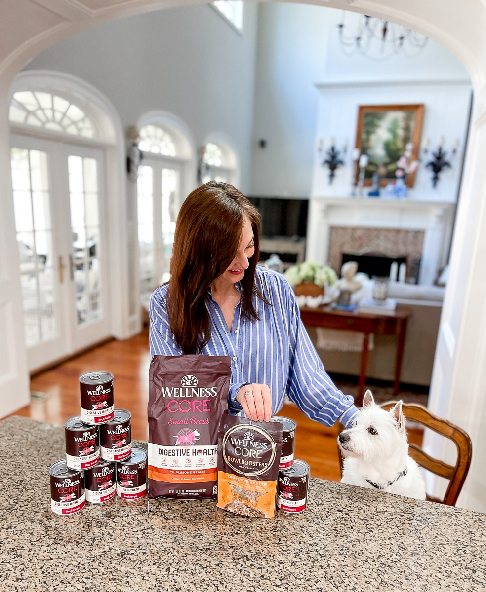 dog's digestive health food