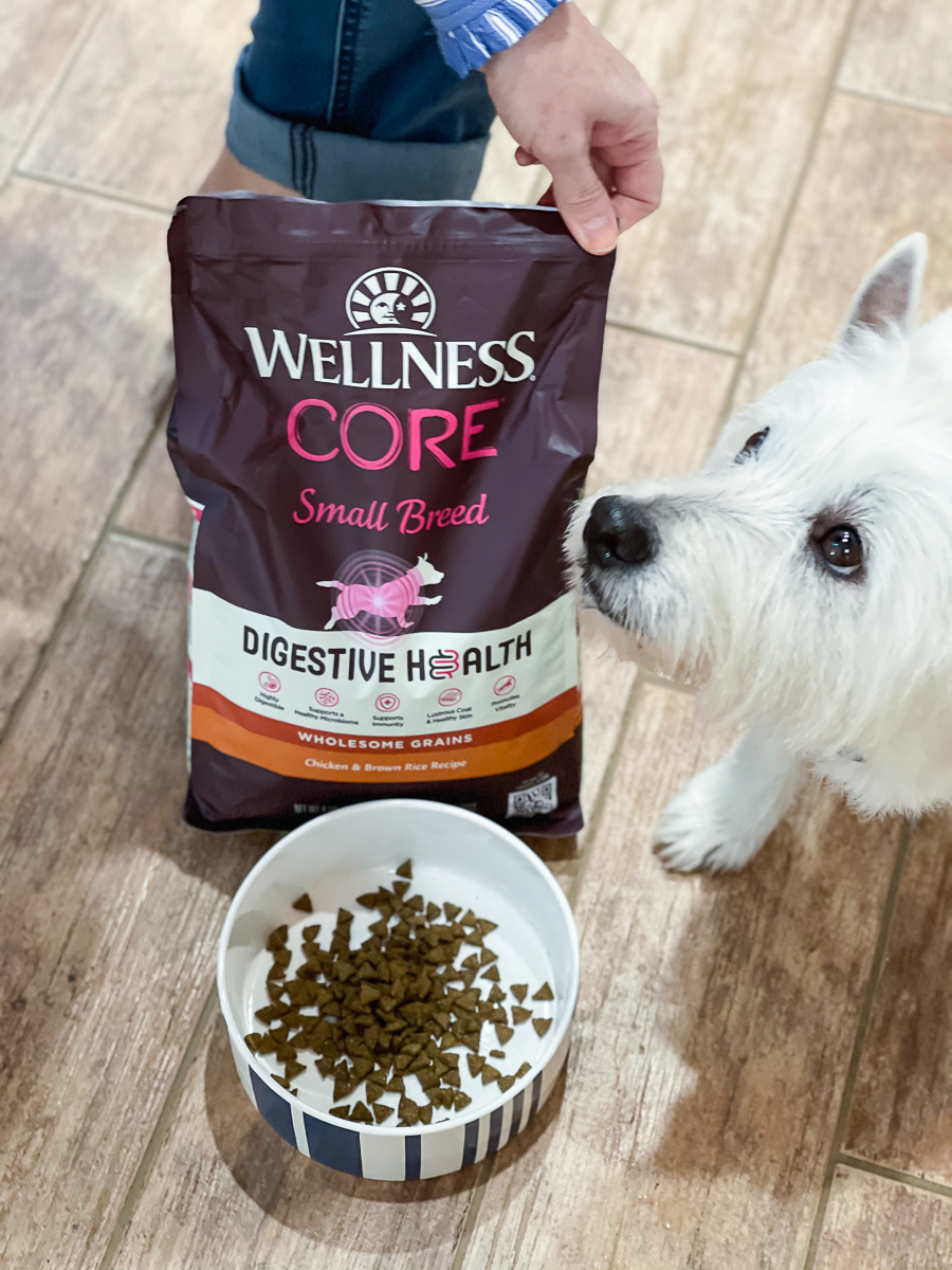 digestive health dog food with Westie