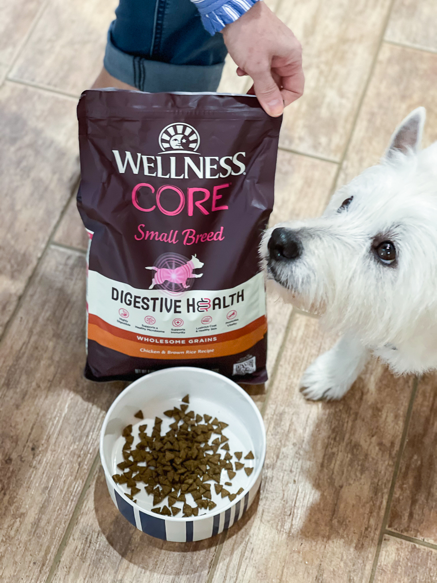 Dog's Digestive Health Our Southern Home