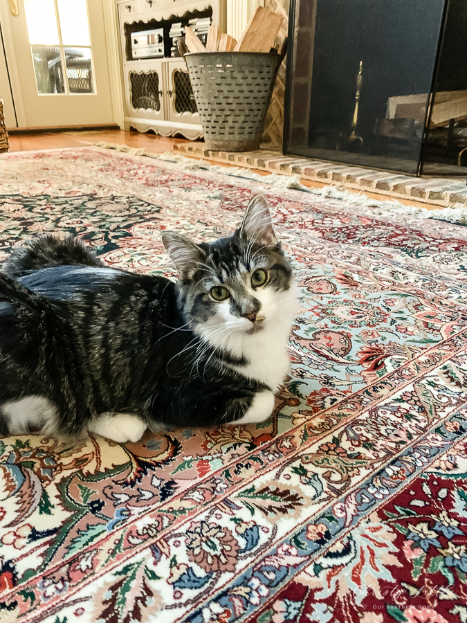 Winter home decorating ideas from this amazing blog hop! #winterdecor #winterdecorating #frenchcountry #frenchfarmhouse #traditionalhome #americanfarmhousestyle #farmhousestyle #tradtionalhome #decorating #interiordesign #herringbonebrick